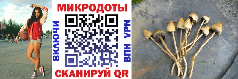 Галлюциногенные грибы мухоморы Гаджиево