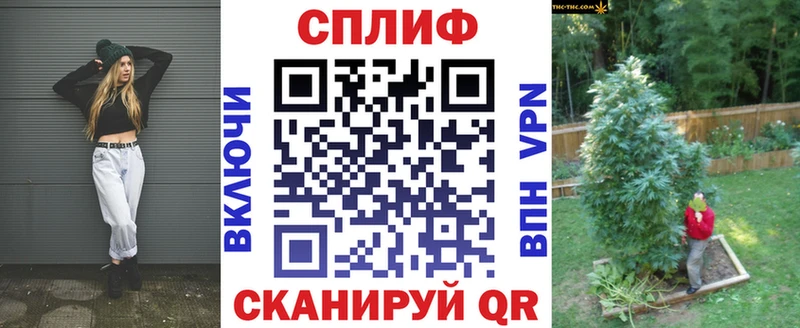 Конопля тримм  где купить наркоту  Гаджиево 